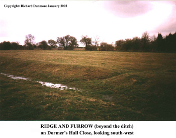 Ridge and furrow